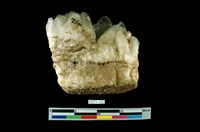 藏品(水晶)的圖片